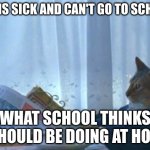 Sadly | ME: IS SICK AND CAN'T GO TO SCHOOL; WHAT SCHOOL THINKS I SHOULD BE DOING AT HOME | image tagged in memes,i should buy a boat cat,school,pain,work,ahhhhh | made w/ Imgflip meme maker