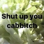 Shut up you cabbitch meme