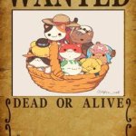 strongest bois | STRONGEST BOIS; WANTED FOR CUTENESS | image tagged in dead or alive,cats,one piece,anime | made w/ Imgflip meme maker