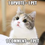 cute cat | 1 UPVOTE = 1 PET; 1 COMMENT = 1 PET | image tagged in cute cat,memes,funny,cats | made w/ Imgflip meme maker