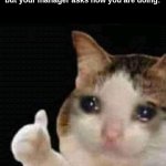 sad thumbs up cat | When work is slowly breaking you but your manager asks how you are doing: | image tagged in sad thumbs up cat,cats,memes,funny,sad | made w/ Imgflip meme maker