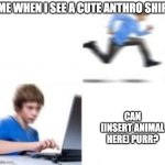 Kid runs to Computer | ME WHEN I SEE A CUTE ANTHRO SHIP; CAN [INSERT ANIMAL HERE] PURR? | image tagged in kid runs to computer,shipping | made w/ Imgflip meme maker