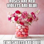 Valentines Timesheet | ROSES ARE RED
VIOLETS ARE BLUE; TIMESHEETS ARE DUE! | image tagged in be my eggentine | made w/ Imgflip meme maker