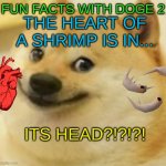 FUN FACTS WITH DOGE #2 | FUN FACTS WITH DOGE 2; THE HEART OF A SHRIMP IS IN... ITS HEAD?!?!?! | image tagged in smile doge cropped,fun facts with doge | made w/ Imgflip meme maker