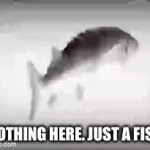 Just a feeeeesh | NOTHING HERE. JUST A FISH | image tagged in gifs,fish,spinning | made w/ Imgflip video-to-gif maker