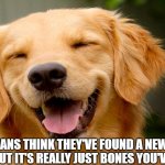 Laughing Dog | WHEN HUMANS THINK THEY'VE FOUND A NEW DINOSAUR FOSSIL, BUT IT'S REALLY JUST BONES YOU'VE BURIED. | image tagged in laughing dog | made w/ Imgflip meme maker