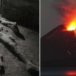 I'm a Pompeii Democrat