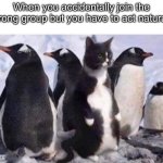 One wrong move and you’re a goner | When you accidentally join the wrong group but you have to act natural: | image tagged in penguin cat,the trickster,disguise | made w/ Imgflip meme maker