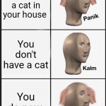 They just show up. | There's a cat in your house; You don't have a cat; You do now. | image tagged in memes,panik kalm panik | made w/ Imgflip meme maker