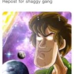 Repost for shaggy gang meme