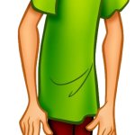 Shaggy Rogers