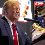 Trump Sneakers $399 Never Surrender JPP