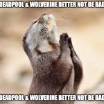 animal praying | DEADPOOL & WOLVERINE BETTER NOT BE BAD; DEADPOOL & WOLVERINE BETTER NOT BE BAD | image tagged in animal praying,deadpool and wolverine,deadpool 3,mcu,disney,praying | made w/ Imgflip meme maker