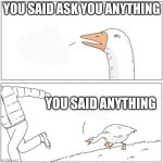 Angry goose | YOU SAID ASK YOU ANYTHING; YOU SAID ANYTHING | image tagged in angry goose | made w/ Imgflip meme maker