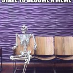 Meme | WAITING FOR A NEW STATE TO BECOME A MEME | image tagged in skeleton sitting | made w/ Imgflip meme maker