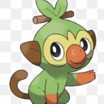 GROOKEY HAND