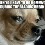 Reading Break is No fun | WHEN YOU HAVE TO DO HOMEWORK DURING THE READING BREAK | image tagged in dog crying | made w/ Imgflip meme maker