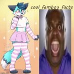 funny | image tagged in cool femboy facts,femboy | made w/ Imgflip meme maker