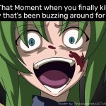 Finally! | That Moment when you finally kill the fly that's been buzzing around for hours | image tagged in shion laugh,memes,funny,that moment when,fly | made w/ Imgflip meme maker