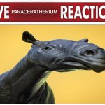 Live reaction | PARACERATHERIUM | image tagged in live reaction | made w/ Imgflip meme maker