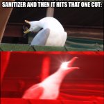 Screaming bird | WHEN YOU ARE USING HAND SANITIZER AND THEN IT HITS THAT ONE CUT: | image tagged in screaming bird | made w/ Imgflip meme maker