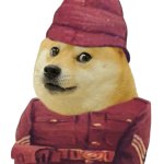 Colonial British Doge