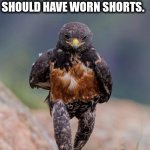 Overdressed | IT'S TOO HOT FOR PANTS...I SHOULD HAVE WORN SHORTS. | image tagged in drill sargent | made w/ Imgflip meme maker