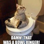 Toilet fart | DAMN! THAT WAS A BOWL RINGER! | image tagged in toilet cat,bowl,farts,good vibes,nothing to see here | made w/ Imgflip meme maker