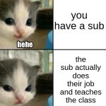 Cute cat hehe and not hehe | you have a sub; the sub actually does their job and teaches the class | image tagged in cute cat hehe and not hehe | made w/ Imgflip meme maker