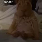 sander | ME ON SATURDAYS: | image tagged in sander | made w/ Imgflip meme maker
