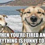 This is what happens to me if I'm not super tired XD | WHEN YOU'RE TIRED AND EVERYTHING IS FUNNY TO YOU | image tagged in memes,original stoner dog,relatable | made w/ Imgflip meme maker