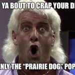 Rick flair woo | WHEN YA BOUT TO CRAP YOUR DRAWS; AND SUDDENLY THE “PRAIRIE DOG” POPS OUT😂🤣 | image tagged in rick flair woo | made w/ Imgflip meme maker
