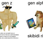Gen Z vs Gen Alpha but BETTER | gen z; gen alpha; my jokes are actually funny in the form of memes that are understandable and have a reason to be laughed at to people who understand the reference; skibidi rizz | image tagged in memes,buff doge vs cheems | made w/ Imgflip meme maker
