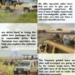 Best Tour Operator In Tanzania