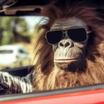 Ape gorilla sunglasses aviators driving driver JPP