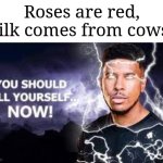 Me when I see a fetish post on imgflip: | Roses are red, milk comes from cows... | image tagged in you should kill yourself now,memes,funny,roses are red | made w/ Imgflip meme maker