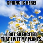 Daily Bad Dad Joke February 21, 2024 | SPRING IS HERE! I GOT SO EXCITED THAT I WET MY PLANTS. | image tagged in spring daisy flowers | made w/ Imgflip meme maker