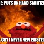everytime! | ME: PUTS ON HAND SANITIZER; A CUT I NEVER NEW EXISTED: | image tagged in elmo fire | made w/ Imgflip meme maker