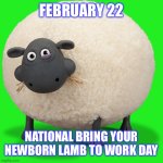 Bring Lamb to Work Day | FEBRUARY 22; NATIONAL BRING YOUR NEWBORN LAMB TO WORK DAY | image tagged in shirley the sheep | made w/ Imgflip meme maker