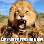Vegan Diet | Goes on a vegan diet; Feels fantastic! Eats three vegans a day | image tagged in lion,vegan,vegans,funny,funny memes | made w/ Imgflip meme maker