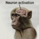 Neuron activation (flipped) meme