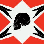1951 book by Hannah Arendt : the Skull Flag