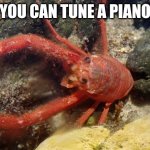 You can tune a piano | YOU CAN TUNE A PIANO | image tagged in tuna crab | made w/ Imgflip meme maker