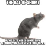 Rat of shame meme