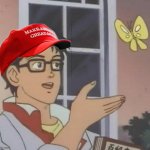 MAGA butterfly brain