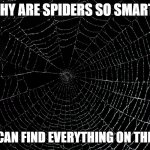 Daily Bad Dad Joke February 23, 2024 | WHY ARE SPIDERS SO SMART? THEY CAN FIND EVERYTHING ON THE WEB. | image tagged in spider web | made w/ Imgflip meme maker