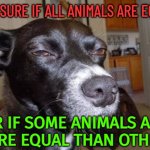 Not Sure If All Animals Are Equal, Or If Some Animals Are More Equal Than Others | NOT SURE IF ALL ANIMALS ARE EQUAL; OR IF SOME ANIMALS ARE
MORE EQUAL THAN OTHERS | image tagged in not sure dog,animal meme,animal rights,animal house,1984,animal farm | made w/ Imgflip meme maker