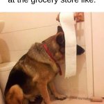 "please dont look at me" | seeing someone you know at the grocery store like: | image tagged in ninja dog hides behind toilet paper,hiding,introvert,grocery store,people | made w/ Imgflip meme maker