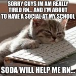 me right now | SORRY GUYS IM AM REALLY TIRED RN... AND I'M ABOUT TO HAVE A SOCIAL AT MY SCHOOL; SODA WILL HELP ME RN... | image tagged in tired cat | made w/ Imgflip meme maker