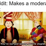 I made a moderator | Reddit: Makes a moderator; Me: | image tagged in you're not just wrong you're stupid,memes,funny | made w/ Imgflip meme maker